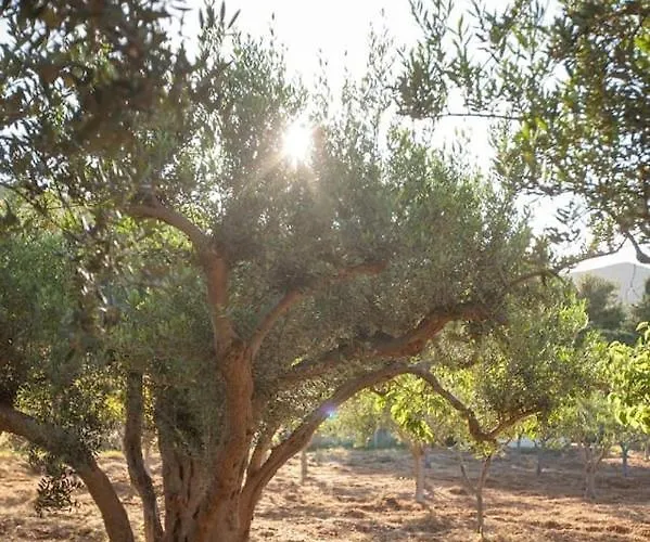 Sicilian Rustic * Scopello (Sicily)