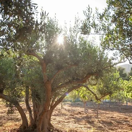 Sicilian Rustic * Scopello (Sicily)